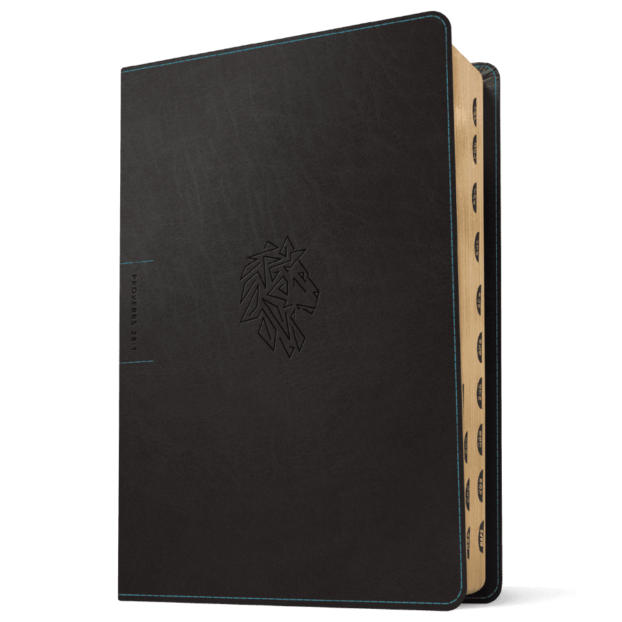 Courage For Life Study Bible For Men - LeatherLike Onyx Lion: Indexed