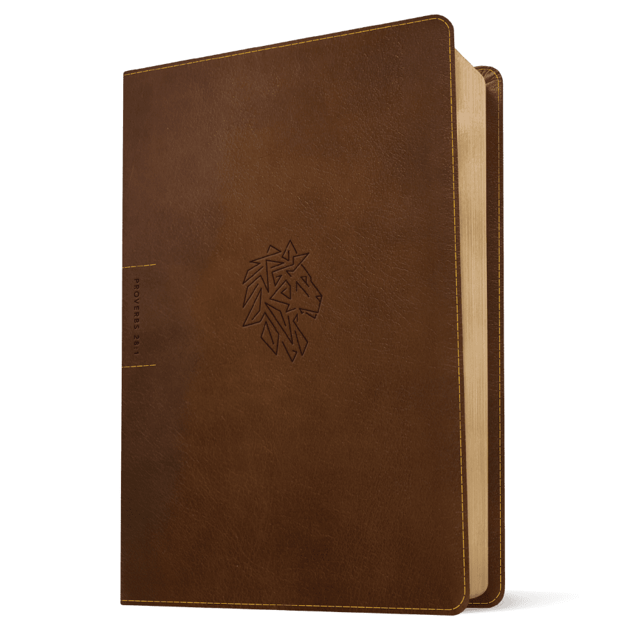 Courage For Life Study Bible For Men - LeatherLike Rustic Brown Lion