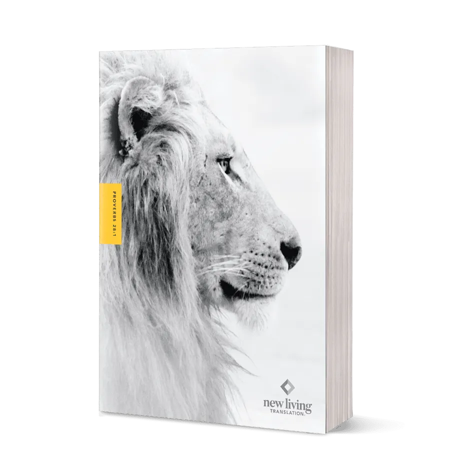 Courage For Life Study Bible For Men - Softcover