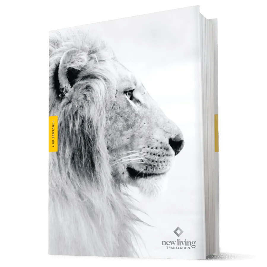 Courage For Life Study Bible For Men - Hardcover