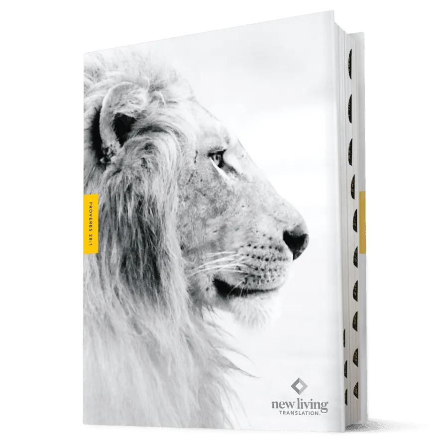 Courage For Life Study Bible For Men - Hardcover: Indexed